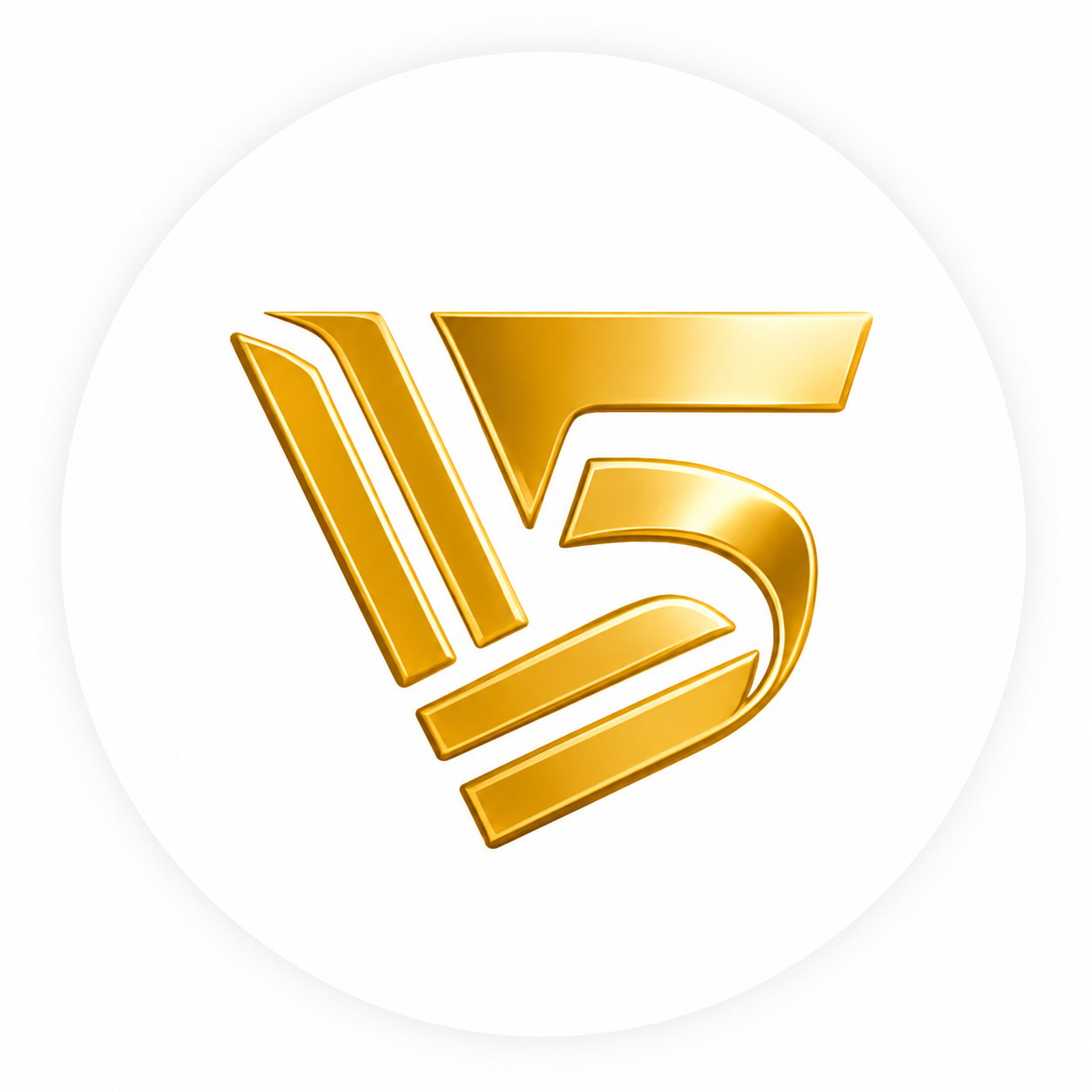 5starsint.com